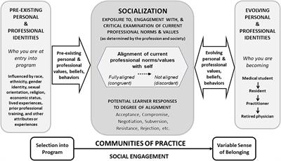 Being, becoming, and belonging: reconceptualizing professional identity formation in medicine